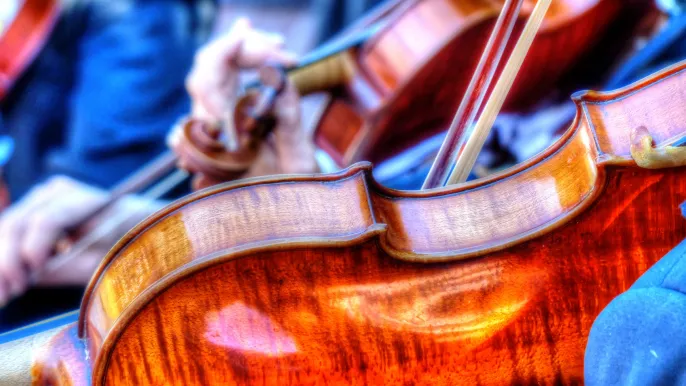 violins (Foto: Linnaea Mallette, public domain license)