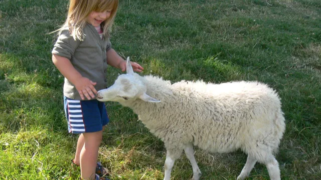 Meine Bilder (Foto: Klaus-Christian Hirte) Meine Bilder (Foto: Klaus-Christian Hirte)