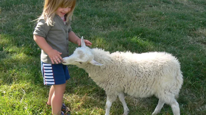 Meine Bilder (Foto: Klaus-Christian Hirte) Meine Bilder (Foto: Klaus-Christian Hirte)
