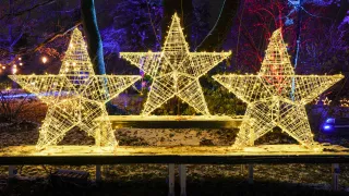 L1000870 (Foto: Klaus-Christian Hirte) L1000870 (Foto: Klaus-Christian Hirte)