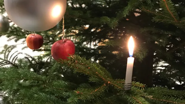 Weihnachtsbaum Zweig Kirche 2 (Foto: Christine Ruszkowski-Hauri) Weihnachtsbaum Zweig Kirche 2 (Foto: Christine Ruszkowski-Hauri)