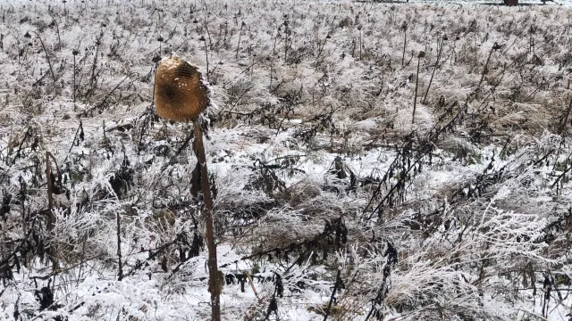 IMG_5008 (Foto: Leszek Ruszkowski) IMG_5008 (Foto: Leszek Ruszkowski)