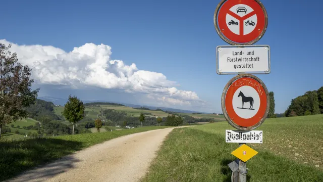 Weg (Foto: Klaus-Christian Hirte) Weg (Foto: Klaus-Christian Hirte)