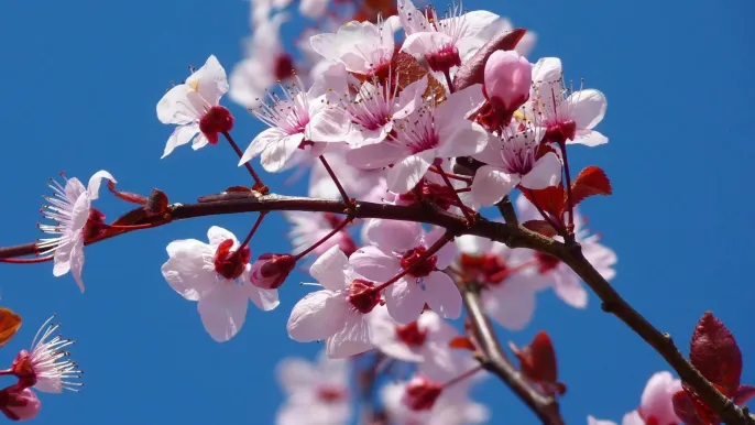 Bild LoggaWiggler pixabay.com (Foto: Peter Senn) Bild LoggaWiggler pixabay.com (Foto: Peter Senn)