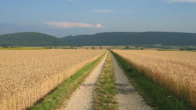 Sommerweg (Foto: Kirchenweb Bilder) Sommerweg (Foto: Kirchenweb Bilder)