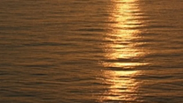 Meine Bilder Meine Bilder