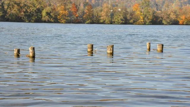 Am Rhein (Foto: Jutta Wurm) Am Rhein (Foto: Jutta Wurm)