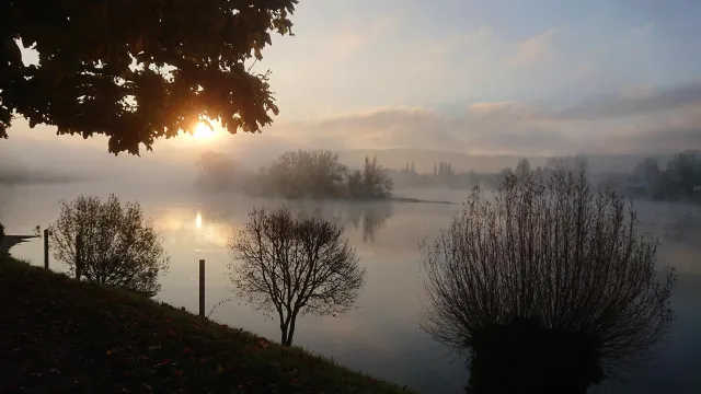 Morgenstimmung am Rhein (Foto: Christian Münch) Morgenstimmung am Rhein — 2021-11-06, 8h, Stein am Rhein (Foto: Christian Münch)